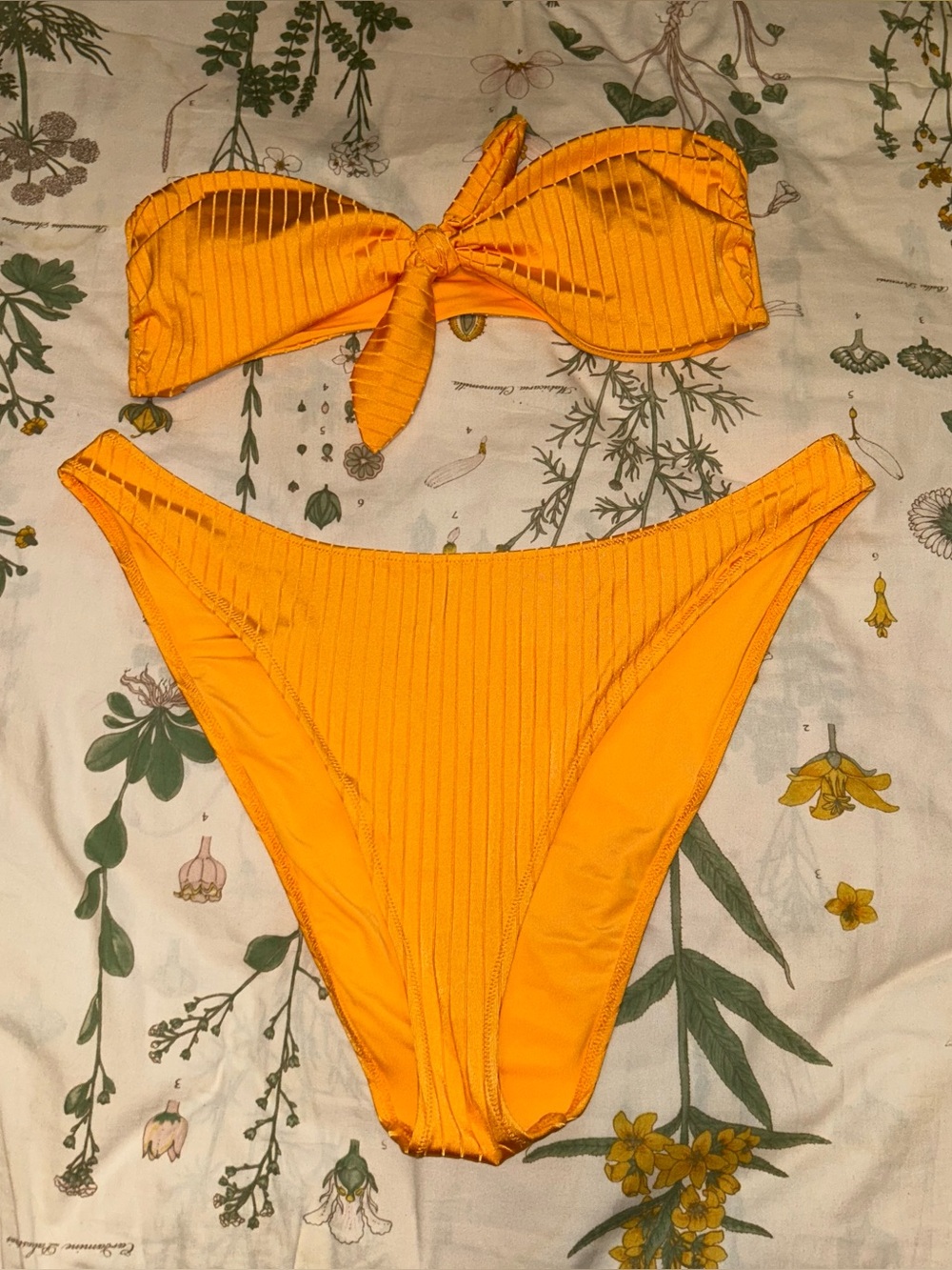 Aerie bikini set